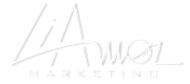 Liamor Marketing